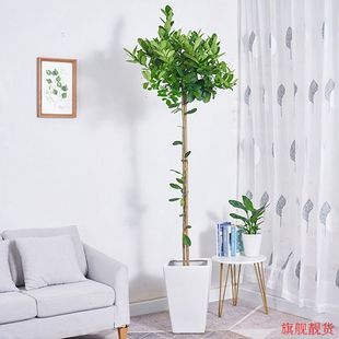 ˮʘԎʳøߗUinsWtؿ͏dWGֲk҃