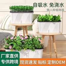 �̨�����Ԅ���ˮ����N�˷N���Nֲ���ͥ�������ϷN����G�}����