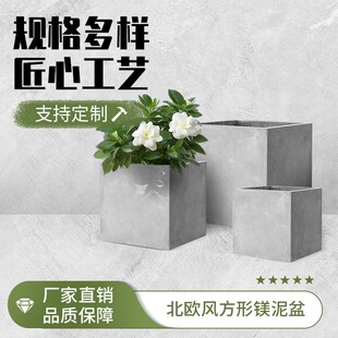 ������ˮ�໨���ش�̖��ڏ����s��ɫ��ɫ�Gֲ���ԑ���ͥԺ������