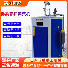 冬季桥梁蒸汽养护设备 混凝土养护蒸汽机混凝土预制养生机