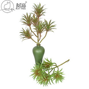 ��Ʒ����6�^С���~�ٶ���ֲ�ﻨ�^�͏d�廨�b՚��P��ֲ������