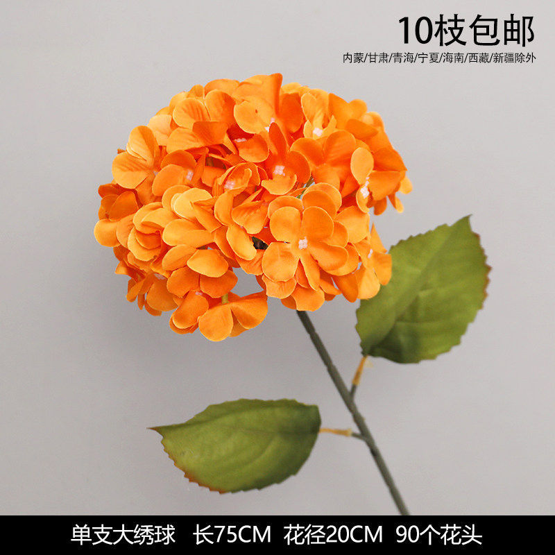 单支大绣球  带叶