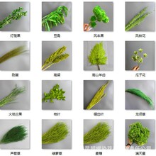 �������Gɫϵ�M�������R�ɽ��~�ֹ�DIY���ļ������û�c�b�