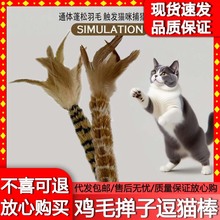 鸡毛掸子长杆逗猫棒羽毛麻绳手柄耐抓咬自嗨解闷消耗体力宠物用品