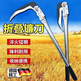 �r��砵���ĥ��ۯB砵���ݵ���Ȳݵ���砵����ݹ����ۯBʽ