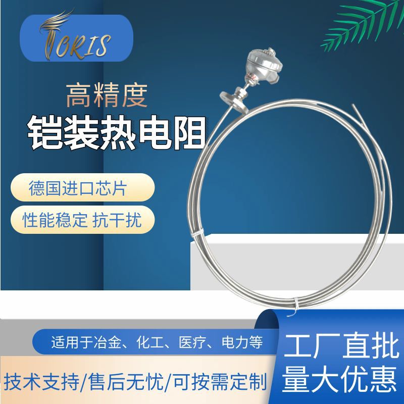 WZP-230/231热电阻 铠装热电阻PT100不锈钢耐高温高精度温度传感