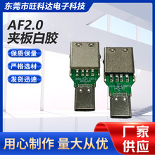 AF2.0�A����z TO TYPE C24Pĸ�����z10.5MM�D���^+�o�� L33.4MM