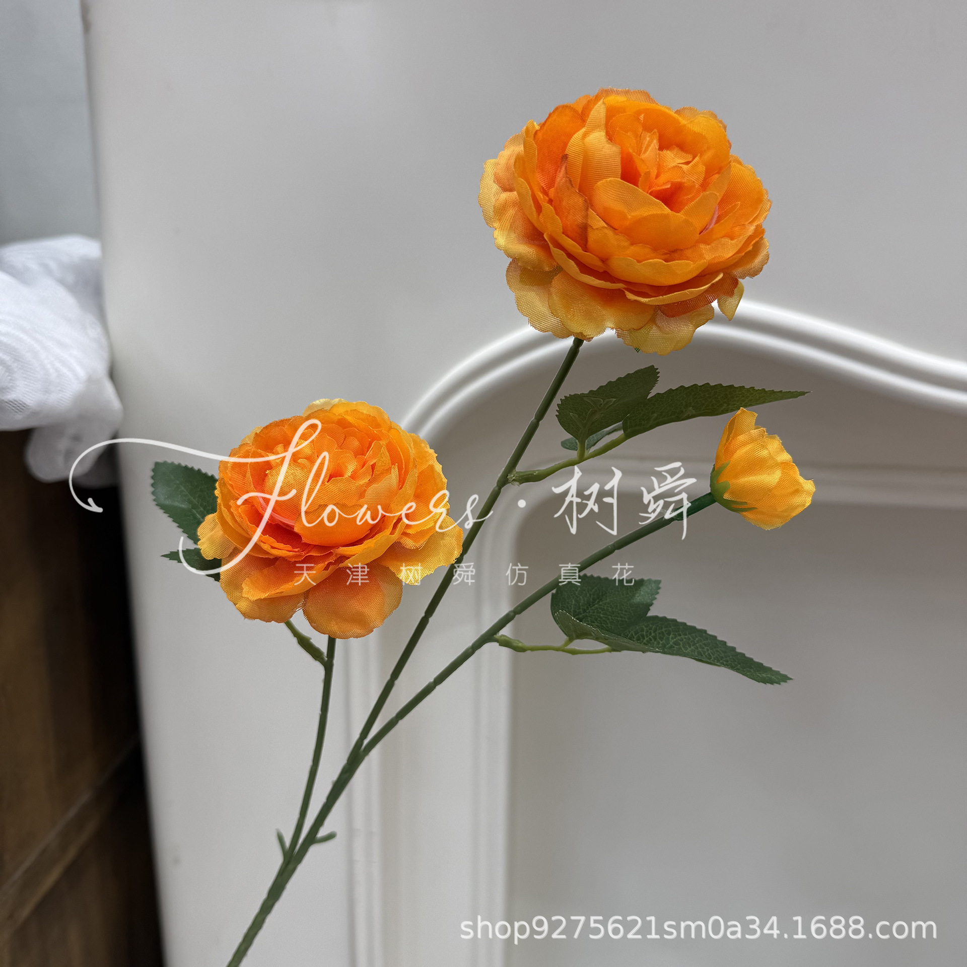 모란