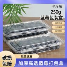250克一次性蓝莓盒水果包装盒子塑料 透明长方形桑葚盒树莓桑果盒