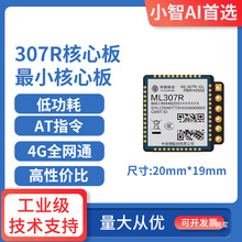 ML307R 4Gcat1ģ�KESP32S3ͨ��ģ�Kͨ�o��ͨӍģ�M����