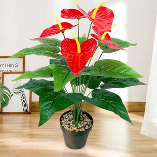 �ߙn����Gֲ���ϼٻ����滨12/18�^�t���҃ȼҾ����Կ͏d�b�