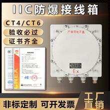 IIC防爆配电箱T4/T6照明动力风机气体开关按钮接线端子箱控制柜