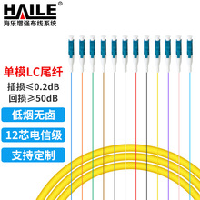 HAILE海乐 LC电信级单模12芯束装束状尾纤 法兰盘 ODF配线架专用