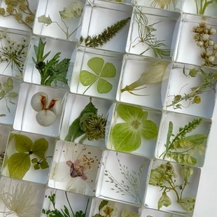 �ֹ����zֲ�﷽�K�˱����zģ�߸ɻ��N���������w�˱�����չʾ����