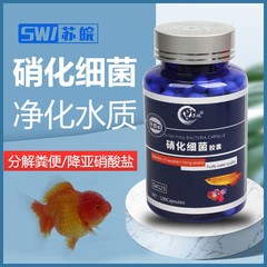 Nitrifying bacteria live bacteria fish tank water purifier concentrated digestive bacteria fish farming supplies nitrifying bacteria capsules