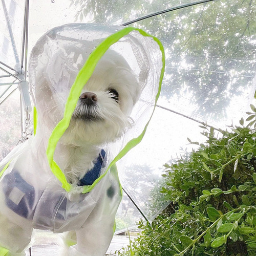 Pet raincoat fluorescent transparent matte four-legged waterproof full cover Teddy medium small dog raincoat clothing