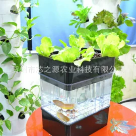 花盆容器;园艺工具;鱼缸