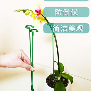 Succulent Support Frame, Hanging Orchid Support Rod, Fixed Butterfly Orchid Flower Stand, Potted Plant Anti-Collapse Shape, Iron Art Floor-Standing Style