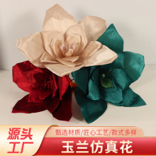 2025�¿�q�����滨��ĭ���Ҿӻ�Y��c���öY�õ���b�õ�����l