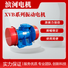 VB-32246-Wϵ���񶯵�����豸�����������XVB-32-6�ͺ�