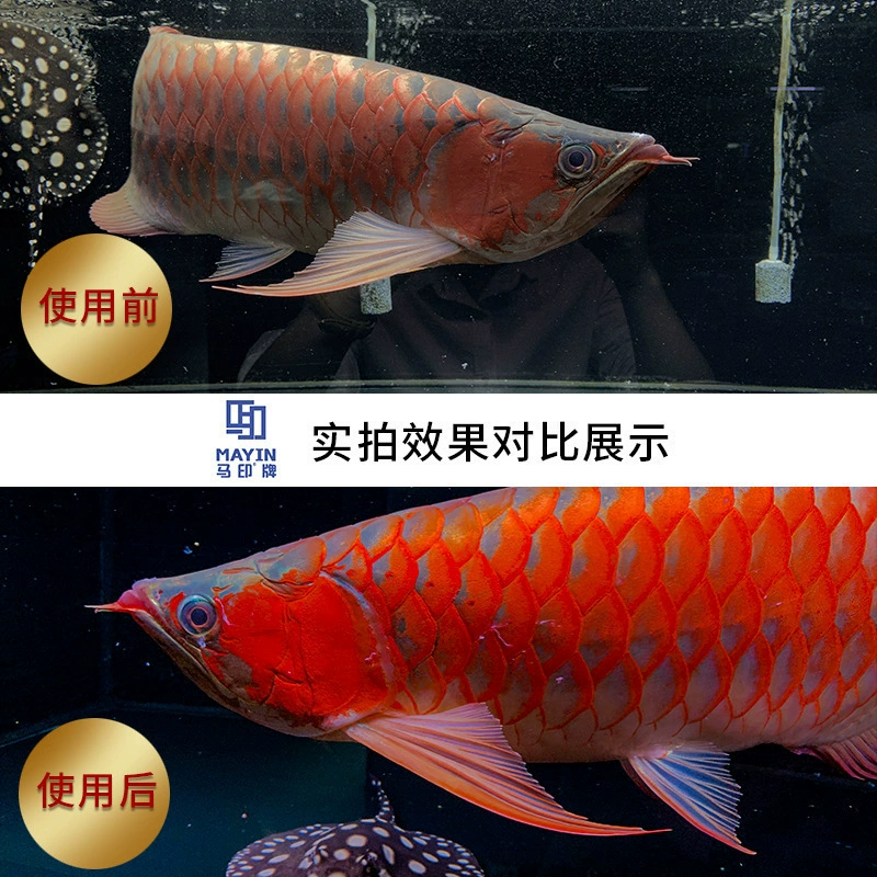 Аквариумный LED- светильник God Lantern Horse Yin, влагозащищённый 9000K, разные длины/мощности