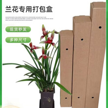 Lμrпfb㼈GֲСwCЬF؛