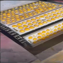 樱桃青梅杨梅去核机李子荔枝龙眼捅核机去核设备捅核机器