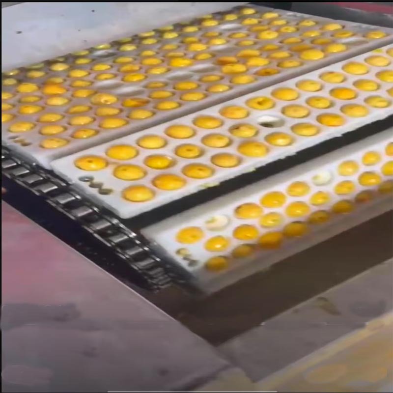 余甘子青梅去核机商用去核机器橄榄李子杏去籽工具多功能取心机