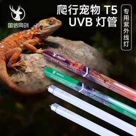 国信同创T5T8uvb爬宠灯uvb灯乌龟晒背灯爬宠爬宠用品爬宠饲养箱