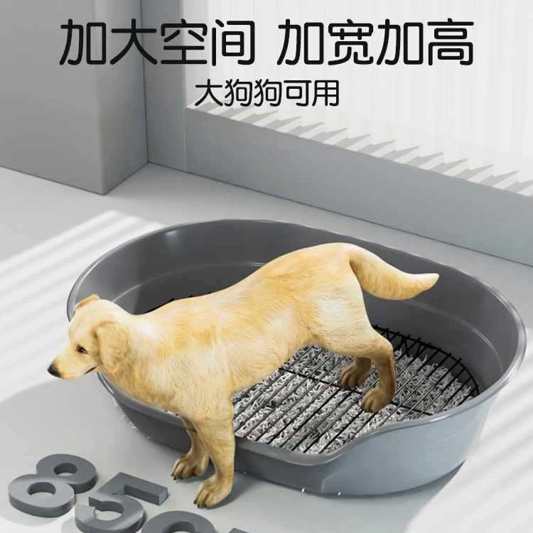 Собачий туалет Большая собака золотисто-волосатая собака тазик для сушки