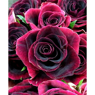 �����ͮ��r��������LDIY�ͮ��S��ֱ����ͯ�������e�ʘ��L��