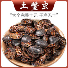 野生土鳖虫500g克土元虫干野生活的金边士鳖虫鳖盖地鳖虫地乌龟好