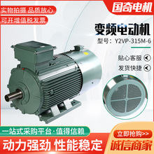 变频电动机Y2VP-315M-6-90KW变频电机纯铜变频电动机