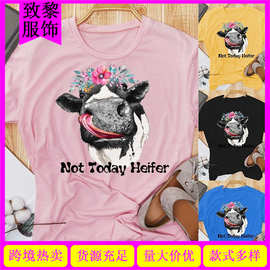 亚马逊wish 欧美 Not Today Heifer 奶牛印花短袖t恤 速卖通 eBay