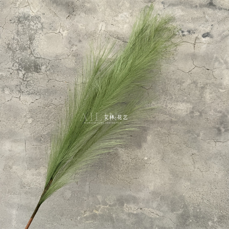 갈대 12개