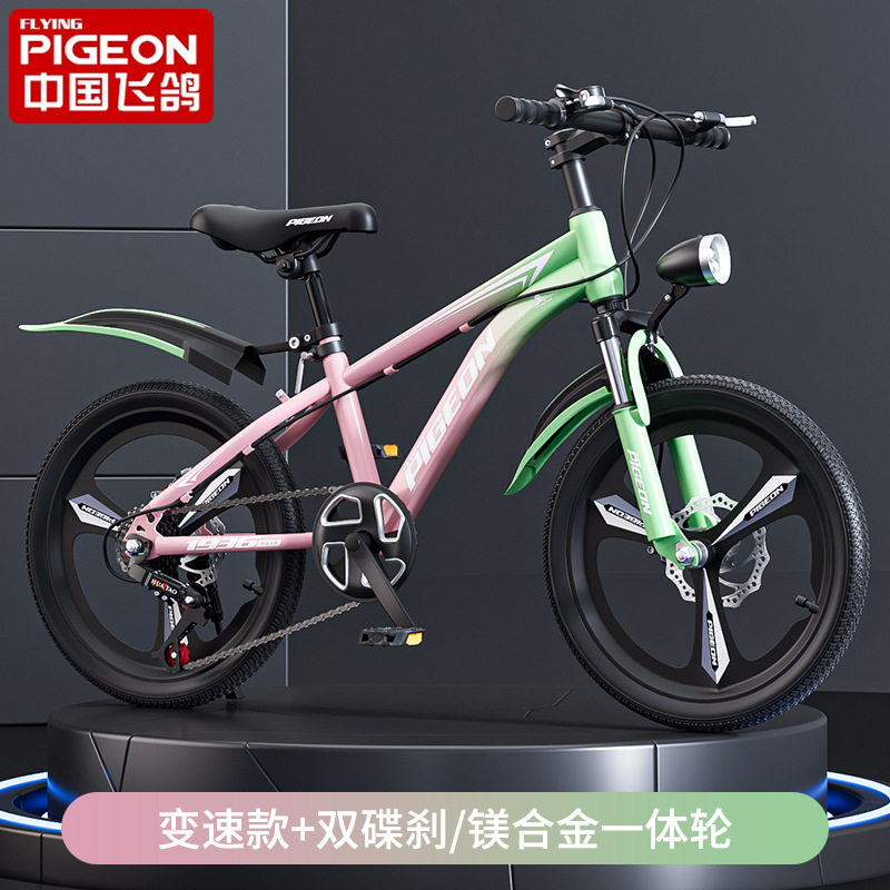 Gradient green + variable speed integrated wheel + shock absorption + gift package