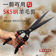 �¿�߶�SK-5䓴�̖���ɼ������Ì��I��d��ë��ë�ֹ���ë���h��
