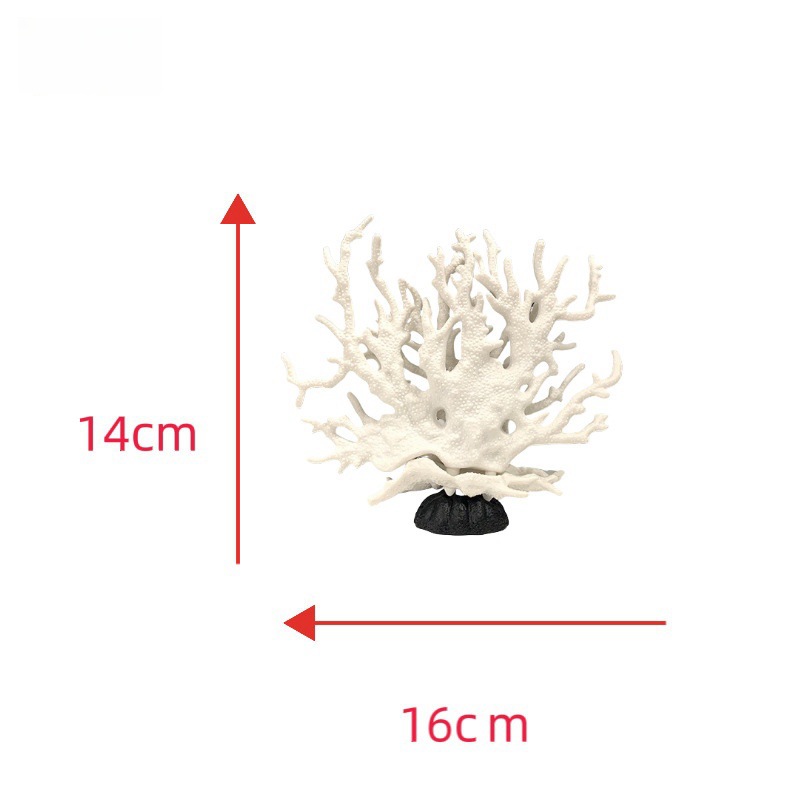 화이트 코랄(총 144개)