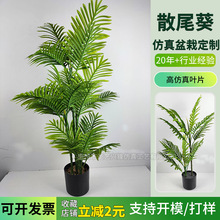 ����Gֲ�Pβ���҃ȴ����Է���ɢβ���Gɫֲ���SҬ�ӷ���ɢβ��