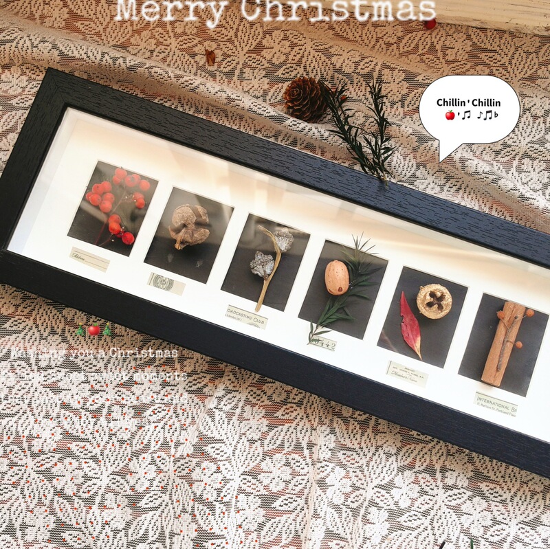 2cm Deep Multi-Grid Cardboard Frame for Mounting Specimens, Shells, Plants, and Fruits; Handmade DIY 3D Display Frame