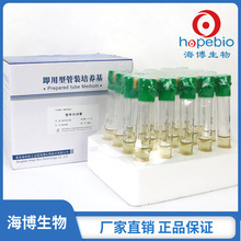 �I�B�✫��   HBPT0108-1   10ml*20֧/��  ���u��������