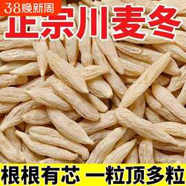 热卖正宗大号麦冬500g四川干货非特级麦门冬茶野生正品真货