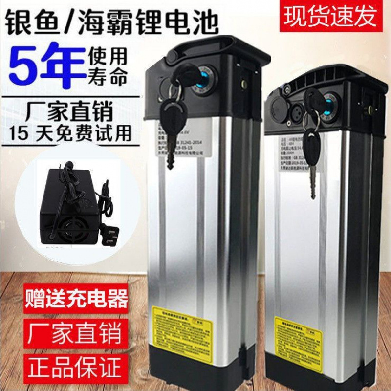 48V Lithium Battery 12A25Ah Large Capacity Lithium Battery Silverfish Sea Master Model Electric Foldableing Laptop