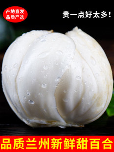 ���C�m���خa�r�ٺ�500g���rʳ�����X�����r���߲�5���]�����^��