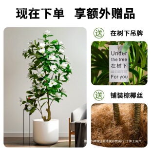 �쾰ֲ���҃��b٘����ط����[�����Դ��;Gֲ���m��