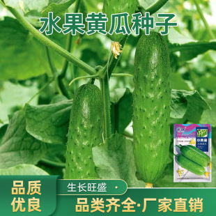 ˮ���S�ϷN����ີ�S�ϷN������r�Ҹ߮a�����ļ��߲˹Ϲ��N��