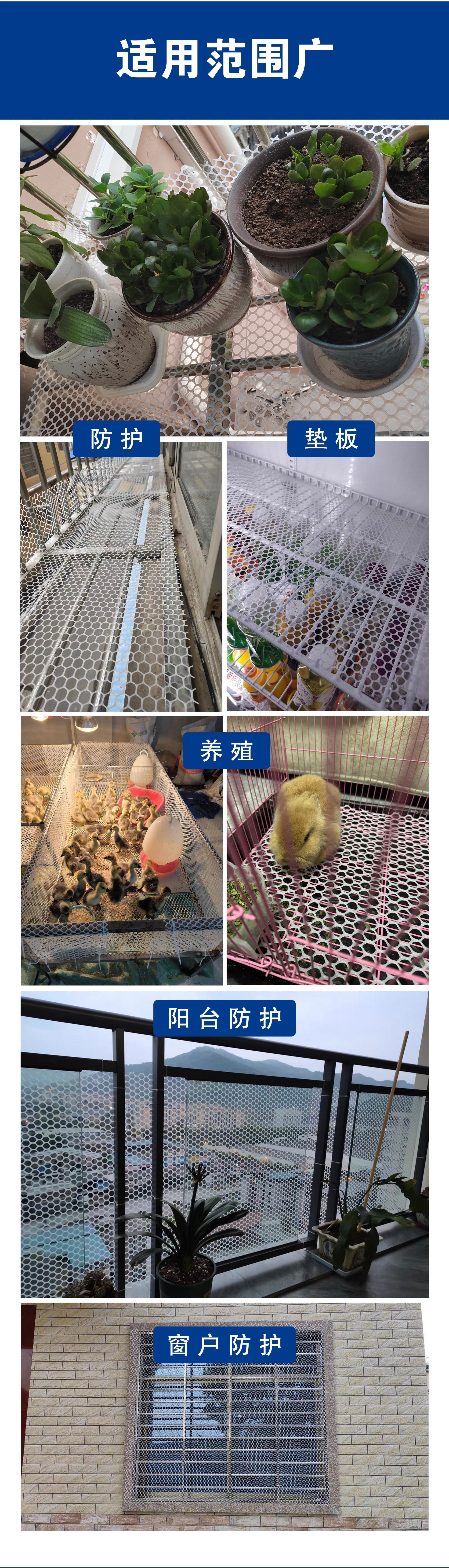 详情6