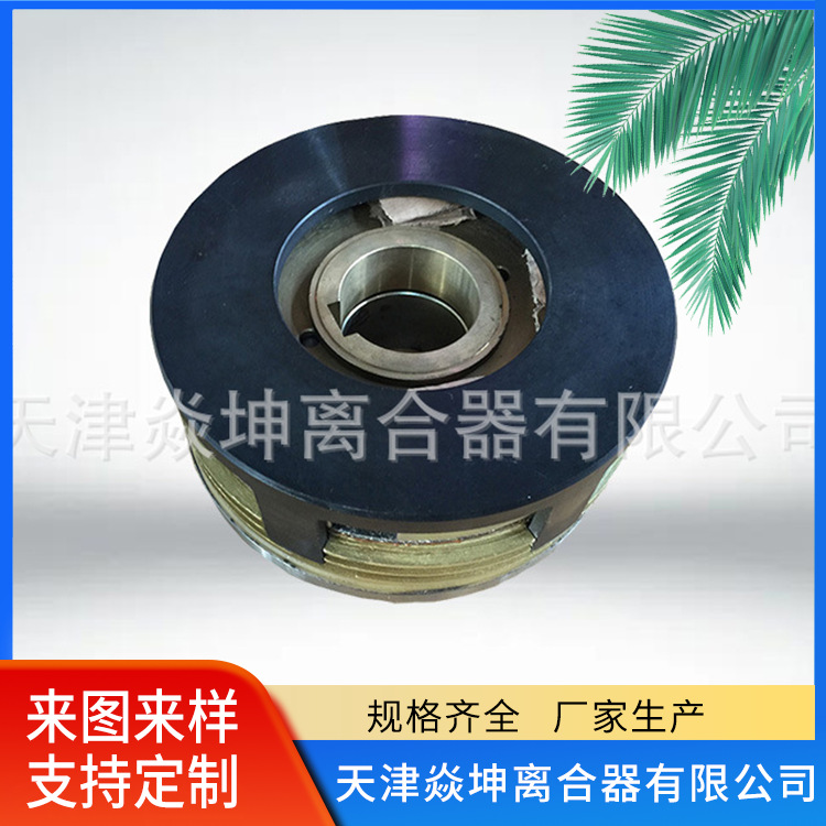 干式多片电磁离合器（EKE系列）--DLM10-40AG--天津厂家供应
