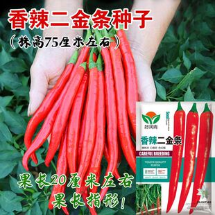 NӶl߮aLNѱƤ߲˷Nļ̨