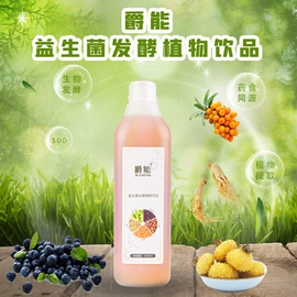 酵素;其他药食同源;果蔬汁